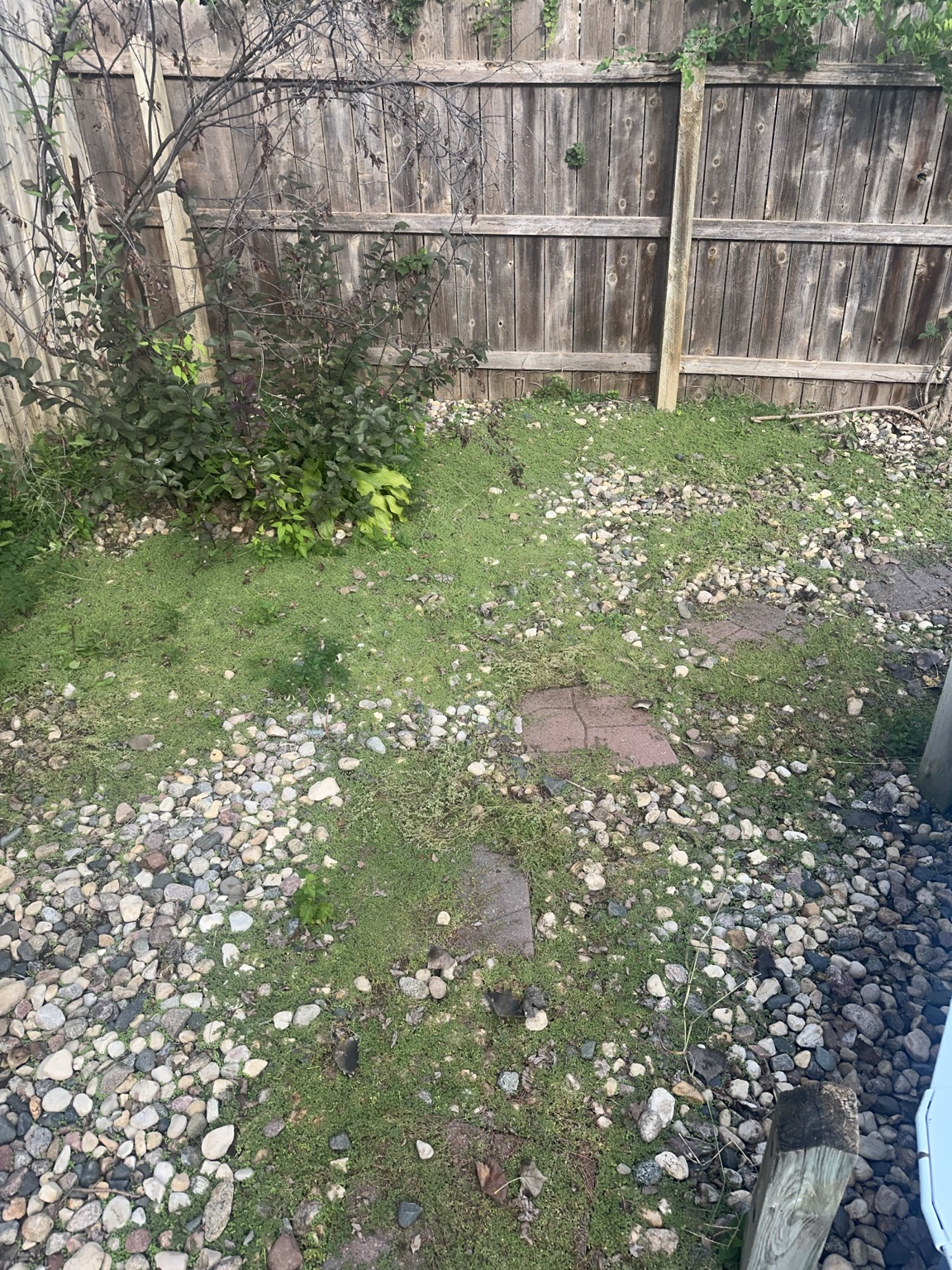 Before rock bed cleanup