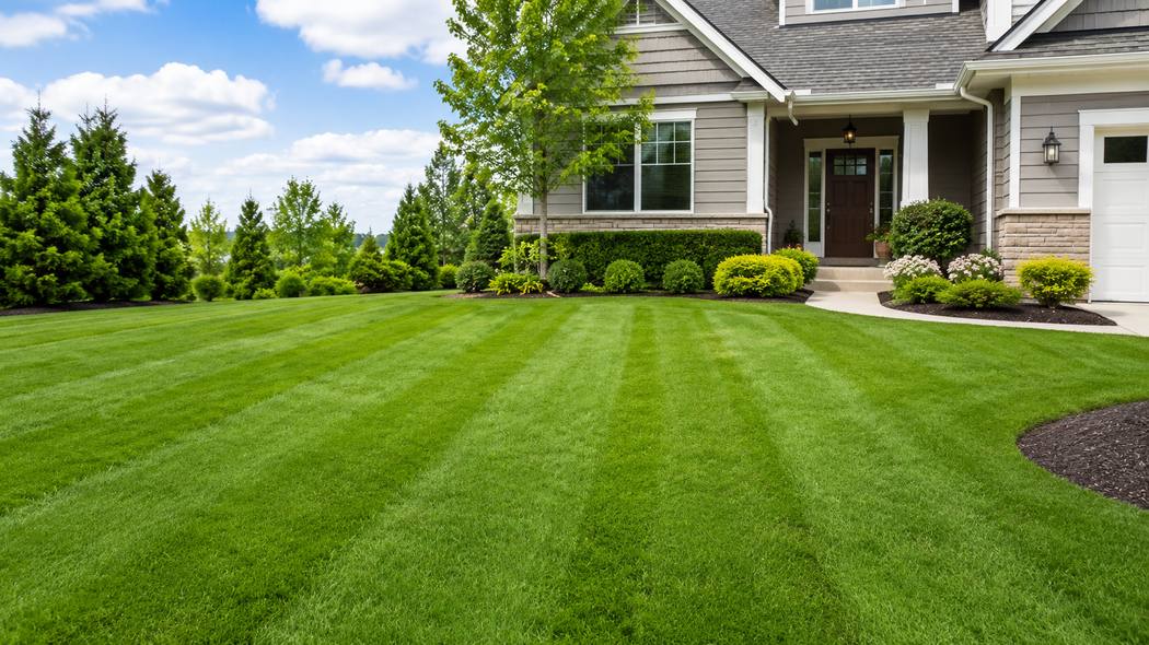 Aeration and seeding