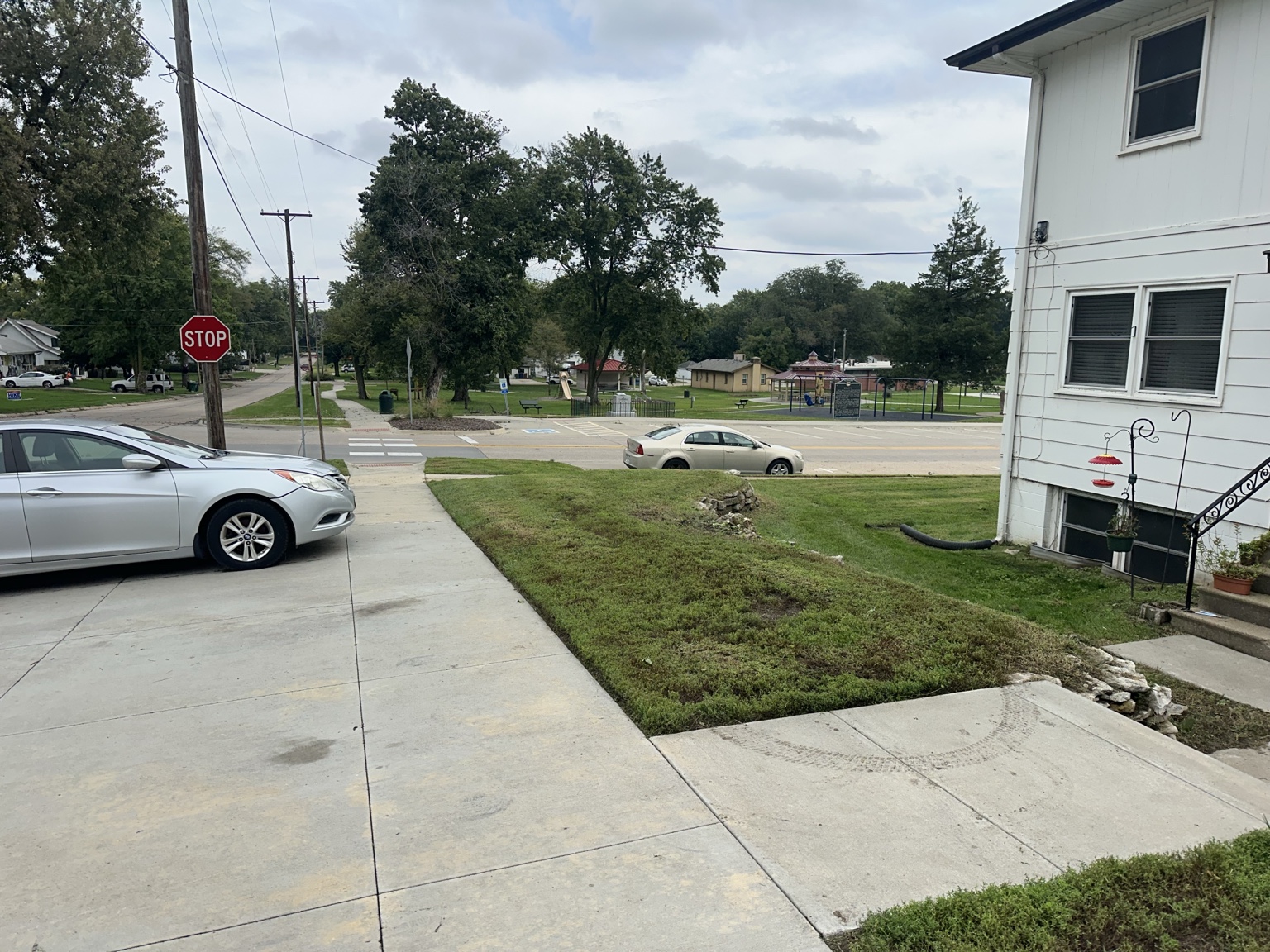 Open lawn area after shrub and overgrowth removal